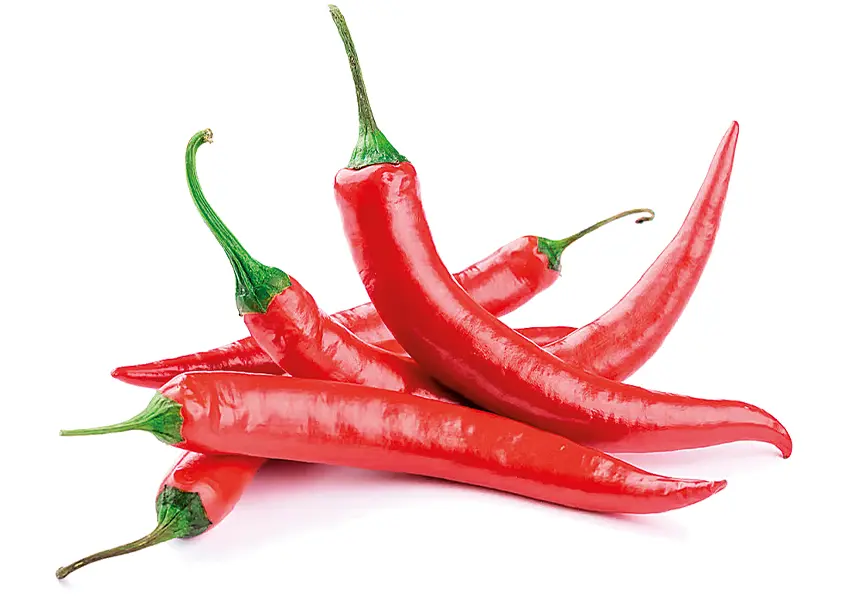 A COR E O CALOR DA PIMENTA
