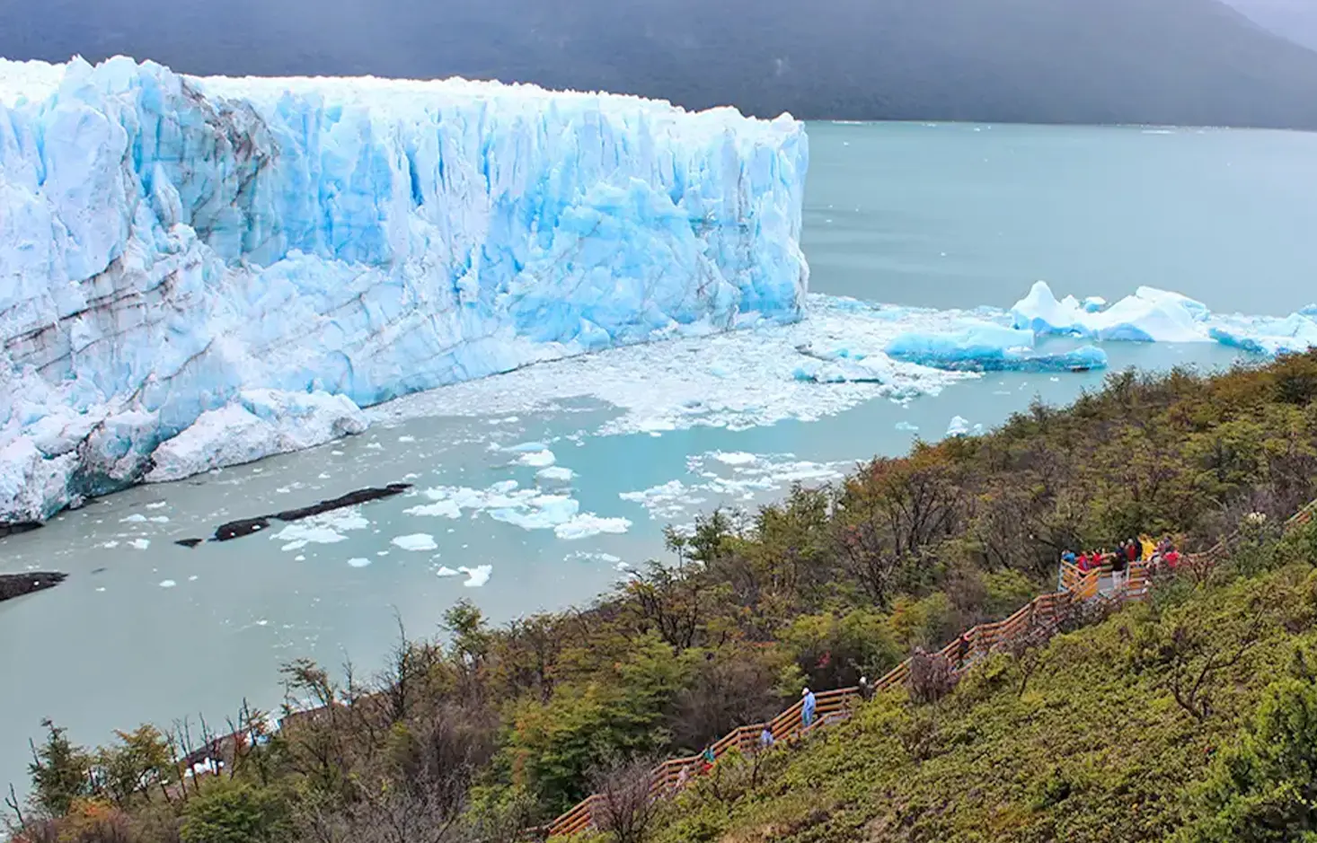 EL CALAFATE