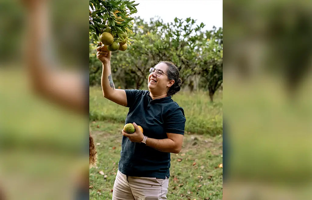 Roupa de festa nos pratos rústicos